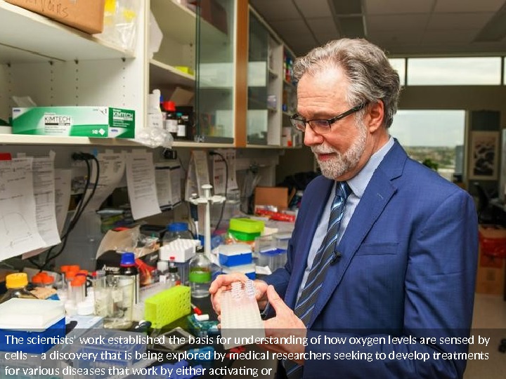 The 2019 Nobel Prize Winners