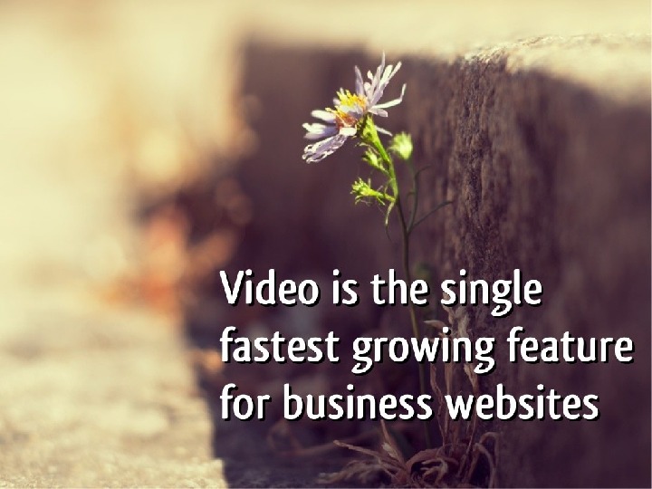 How to Increase Business Profit by Videos